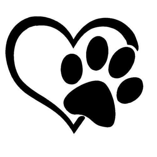 paw